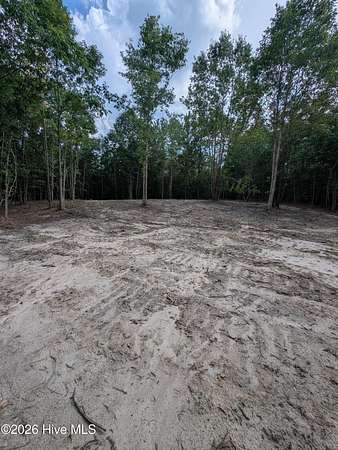 1.33 Acres of Residential Land for Sale in Eagle Springs, North Carolina