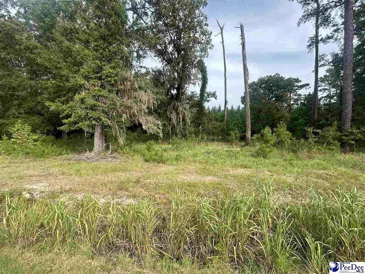 3 Acres of Residential Land for Sale in Coward, South Carolina
