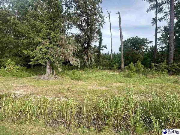 3 Acres of Residential Land for Sale in Coward, South Carolina
