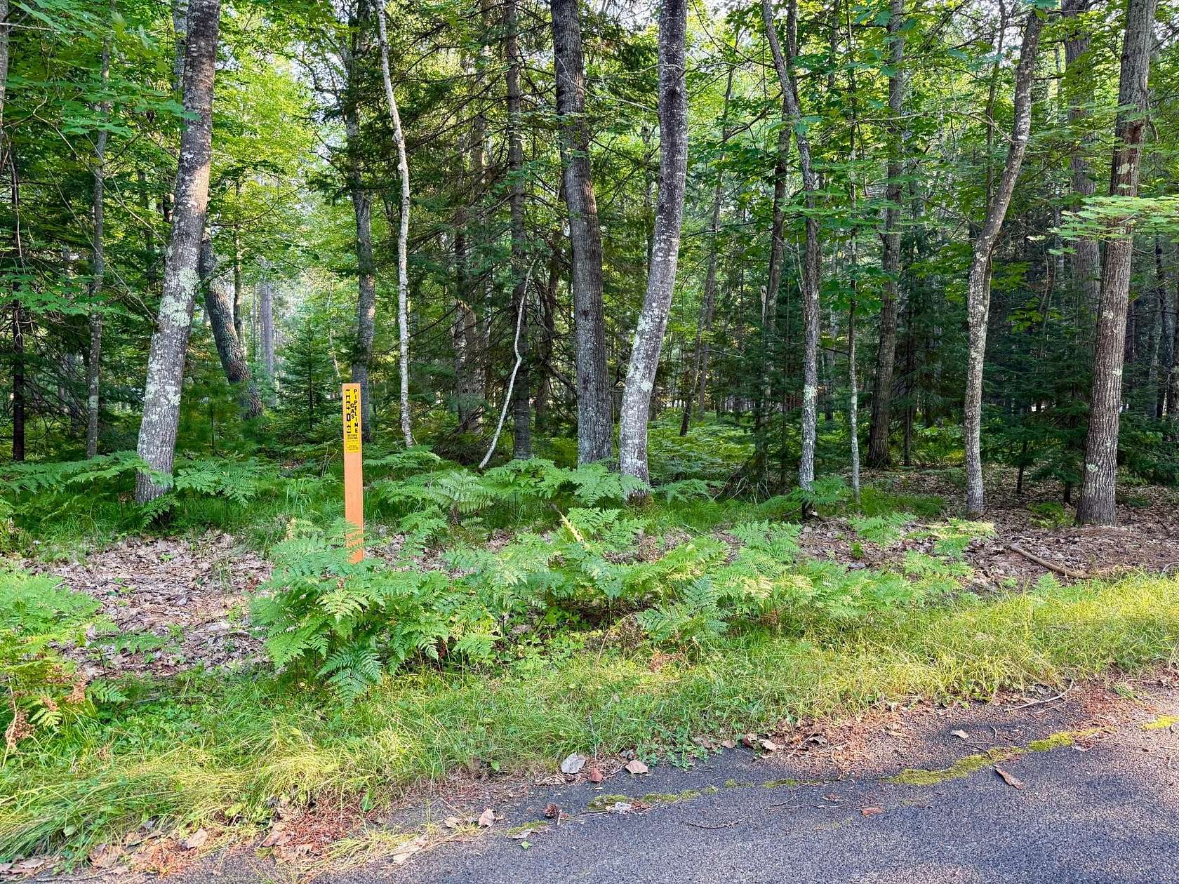 1.5 Acres of Residential Land for Sale in Saint Germain, Wisconsin