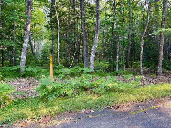 1.5 Acres of Residential Land for Sale in Saint Germain, Wisconsin