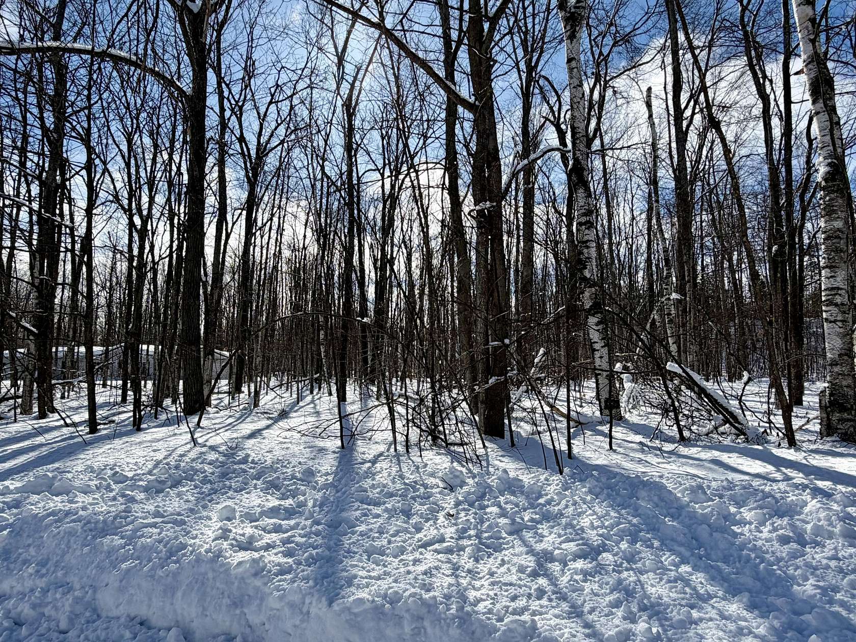 0.48 Acres of Land for Sale in Cheboygan, Michigan