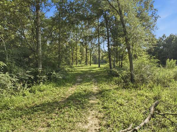 142 Acres of Recreational & Residential Land for Sale in Mermentau, Louisiana