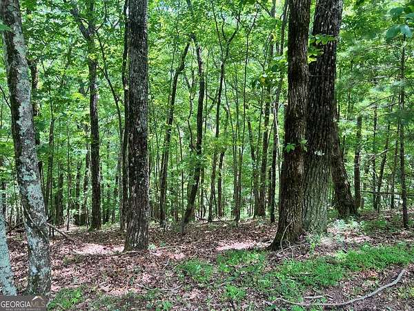 1 Acre of Residential Land for Sale in Ellijay, Georgia