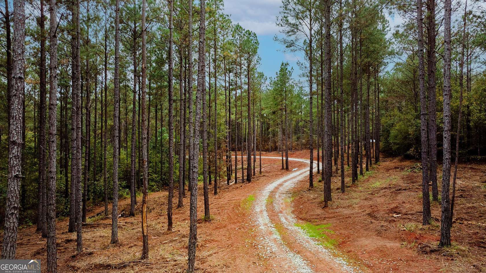 21.9 Acres of Recreational & Residential Land for Sale in White Plains, Georgia