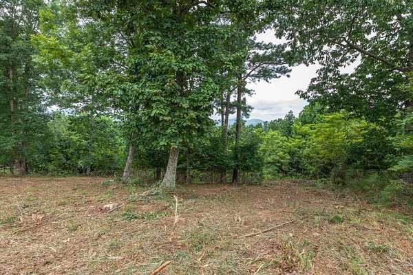 2.2 Acres of Residential Land for Sale in Blairsville, Georgia