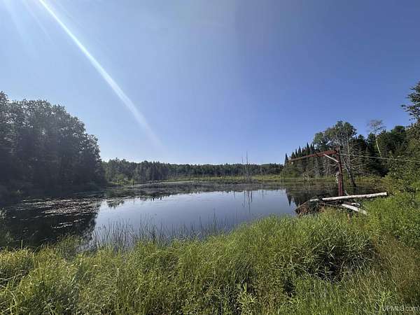 9 Acres of Recreational Land for Sale in Felch, Michigan