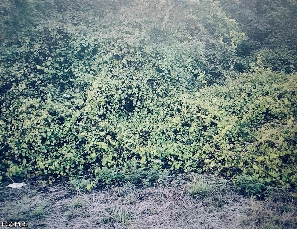 0.26 Acres of Residential Land for Sale in Fort Myers, Florida