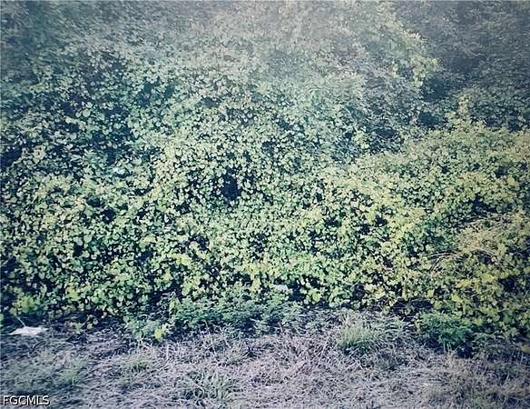 0.26 Acres of Residential Land for Sale in Fort Myers, Florida