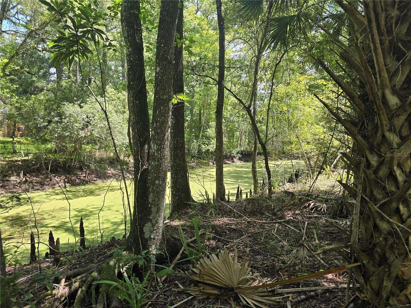 1.72 Acres of Residential Land for Sale in Floral City, Florida