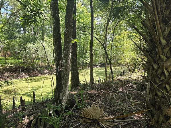 1.72 Acres of Residential Land for Sale in Floral City, Florida