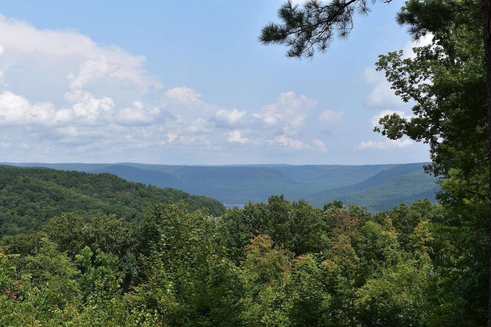 1.63 Acres of Residential Land for Sale in Haletown, Tennessee