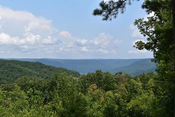 1.63 Acres of Residential Land for Sale in Haletown, Tennessee