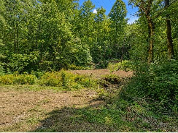 0.5 Acres of Residential Land for Sale in Smithville, Tennessee