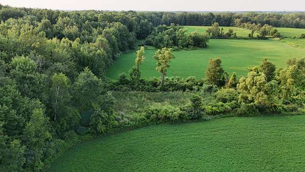 80 Acres of Land for Sale in Ubly, Michigan