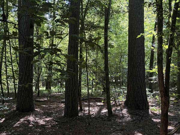 40 Acres of Recreational Land for Sale in Ivan, Arkansas
