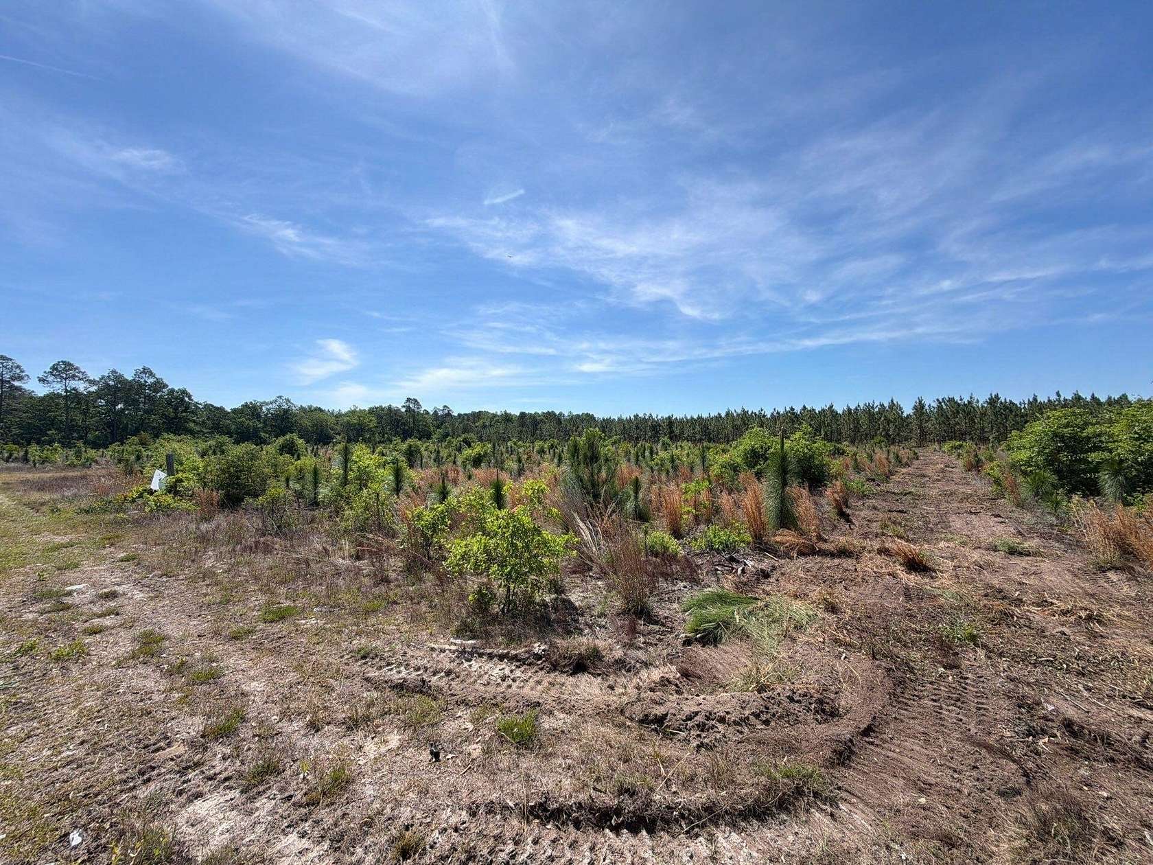 5.53 Acres of Residential Land for Sale in Wagener, South Carolina