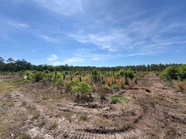 5.53 Acres of Residential Land for Sale in Wagener, South Carolina