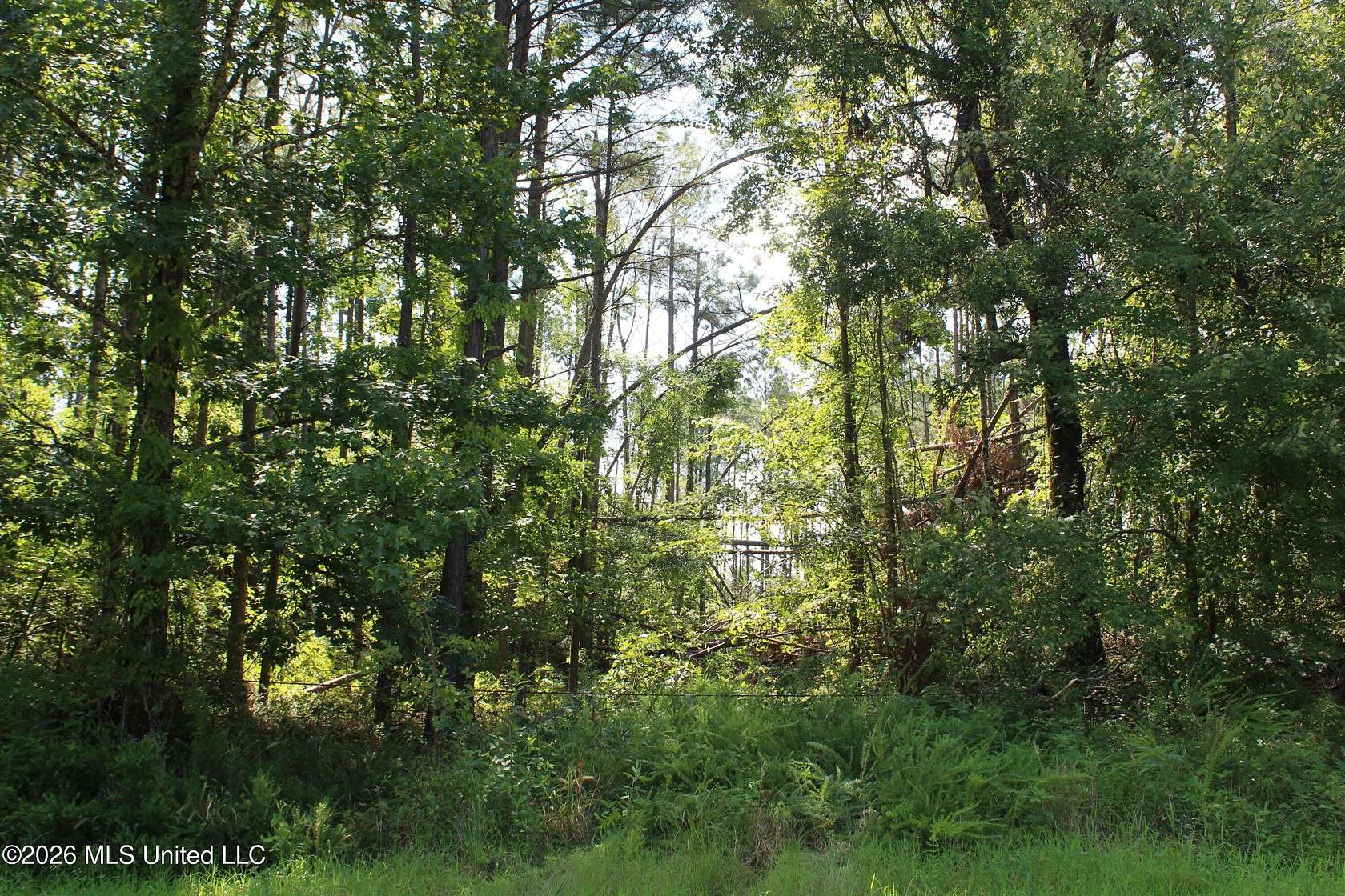 80 Acres of Recreational Land for Sale in Holly Springs, Mississippi