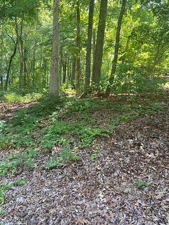 0.61 Acres of Residential Land for Sale in Seneca, South Carolina