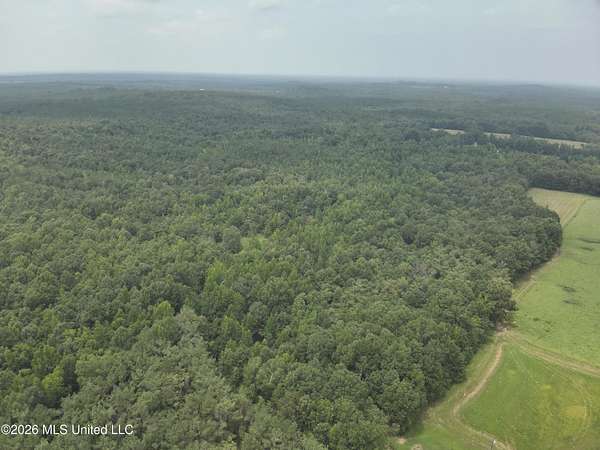 43.7 Acres of Recreational & Residential Land for Sale in Pontotoc, Mississippi
