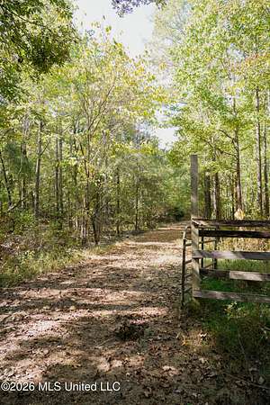 43.7 Acres of Recreational & Residential Land for Sale in Pontotoc, Mississippi
