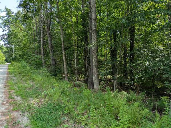 0.46 Acres of Residential Land for Sale in Limerick, Maine