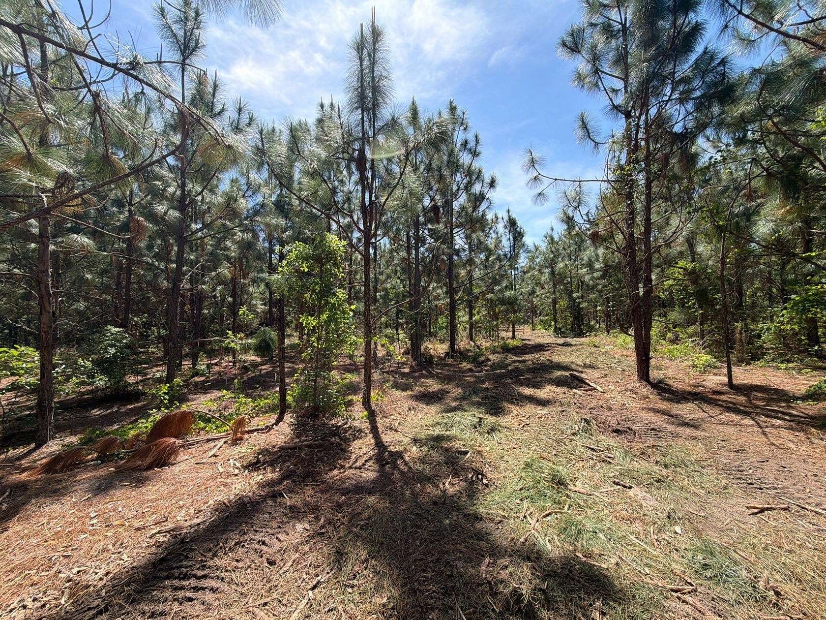 9 Acres of Residential Land for Sale in Wagener, South Carolina