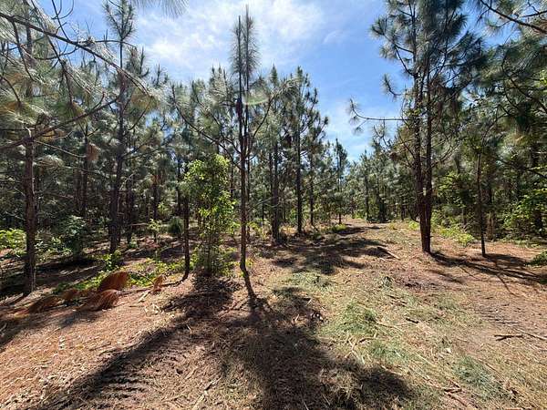 9 Acres of Residential Land for Sale in Wagener, South Carolina