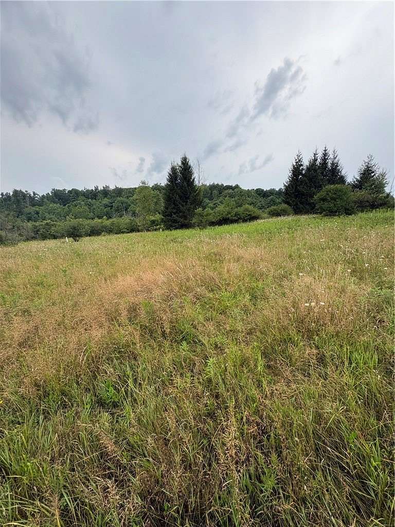 9 Acres of Improved Residential Land for Sale in Hammondsport, New York