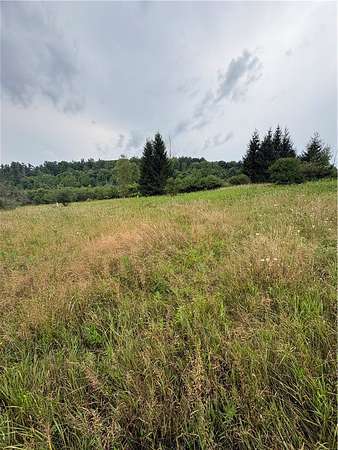 9 Acres of Improved Residential Land for Sale in Hammondsport, New York
