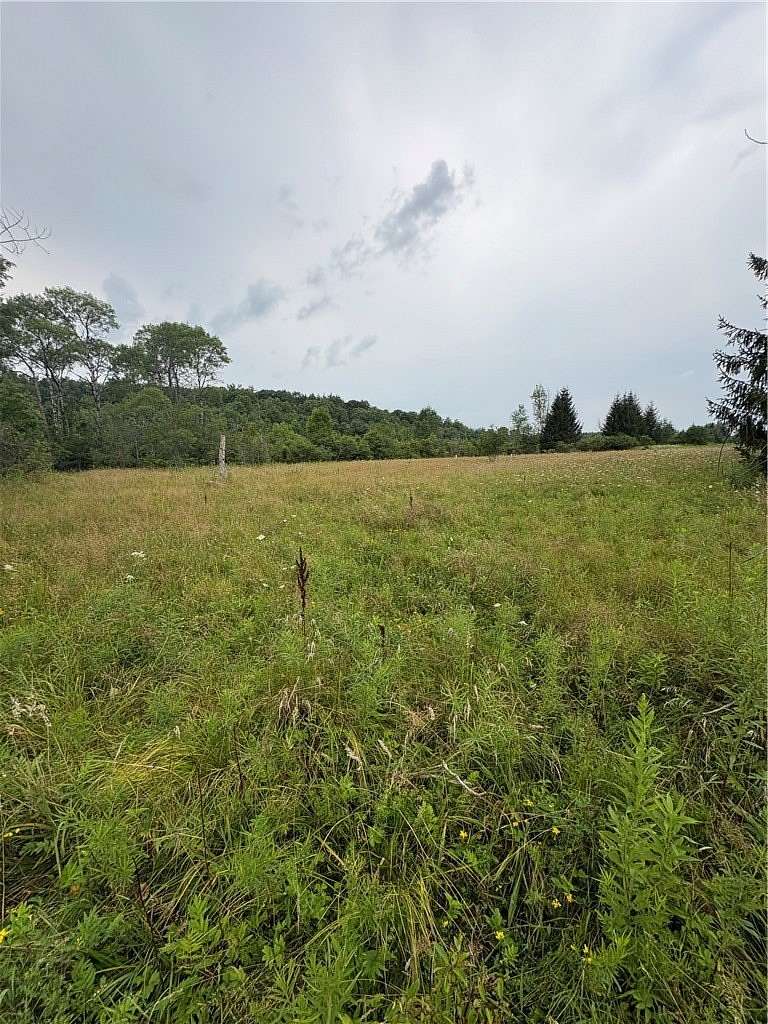 9 Acres of Residential Land for Sale in Hammondsport, New York