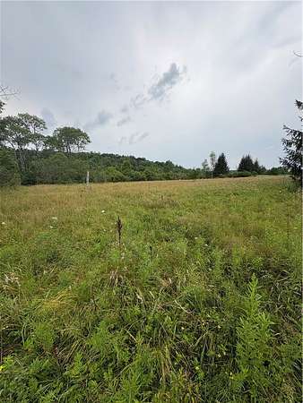 9 Acres of Residential Land for Sale in Hammondsport, New York