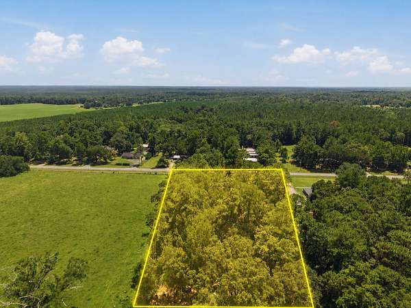 1.15 Acres of Residential Land for Sale in Stockton, Alabama