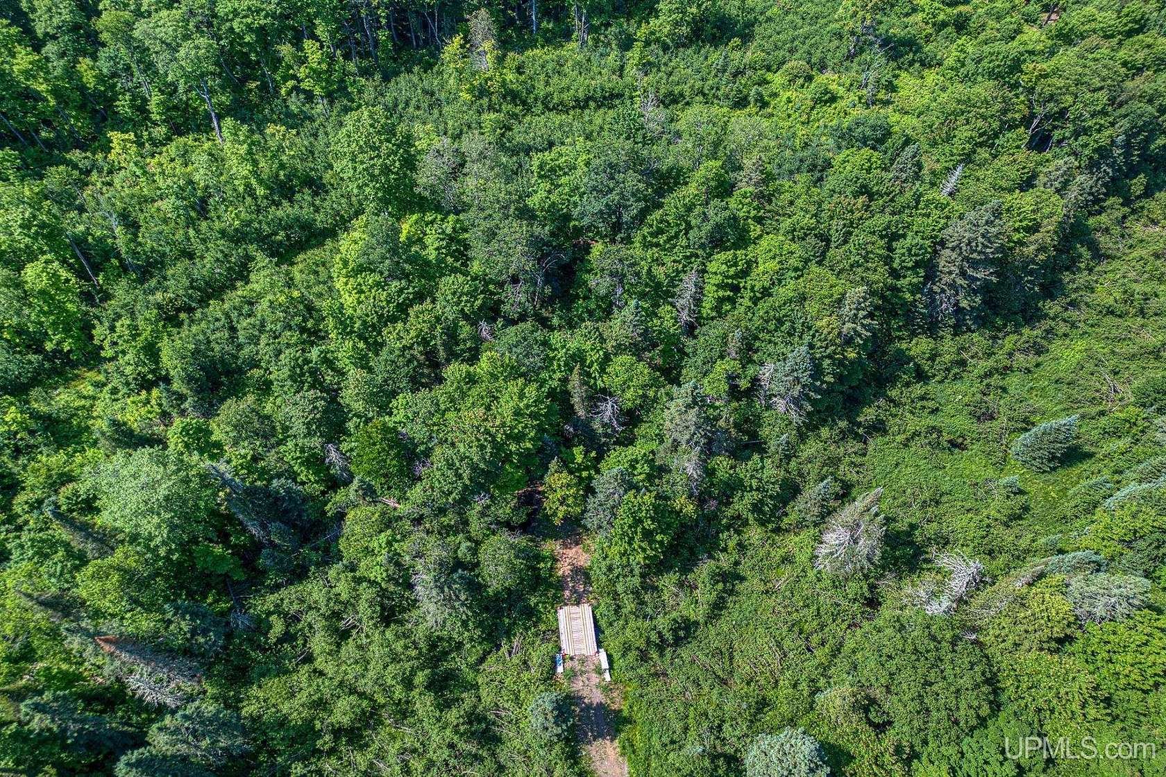 40 Acres of Recreational Land for Sale in Marenisco, Michigan
