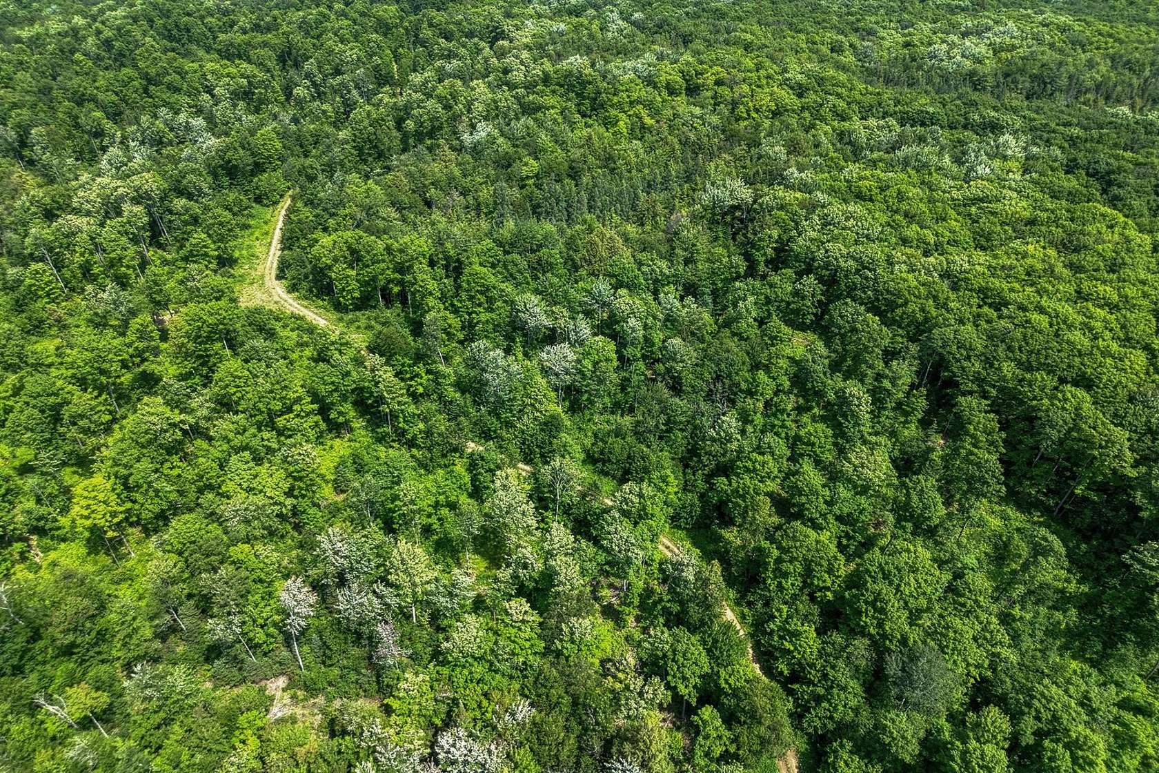 40 Acres of Recreational Land for Sale in Marenisco, Michigan
