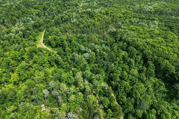 40 Acres of Recreational Land for Sale in Marenisco, Michigan