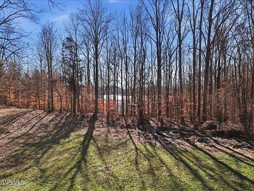 0.62 Acres of Residential Land for Sale in Rutledge, Tennessee