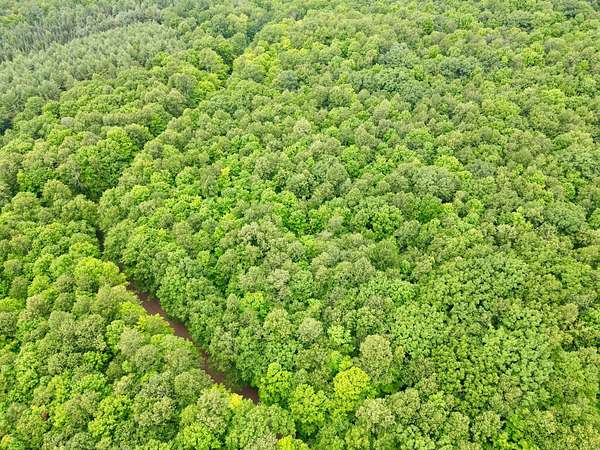 10 Acres of Residential Land for Sale in Gleason, Wisconsin