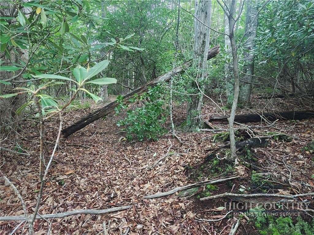0.31 Acres of Land for Sale in Beech Mountain, North Carolina