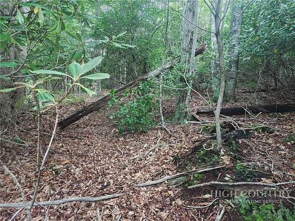 0.31 Acres of Land for Sale in Beech Mountain, North Carolina