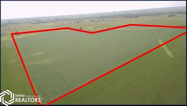 120 Acres of Agricultural Land for Auction in Sheffield, Iowa