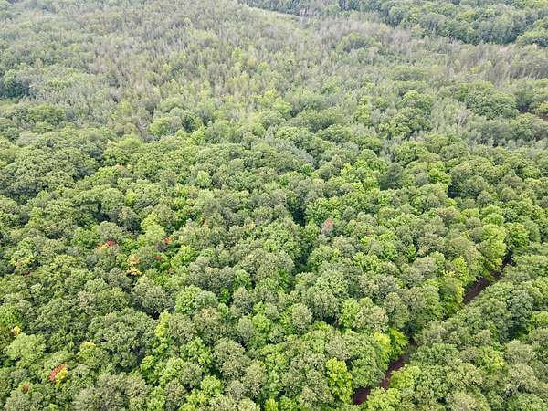 7.67 Acres of Residential Land for Sale in Gleason, Wisconsin