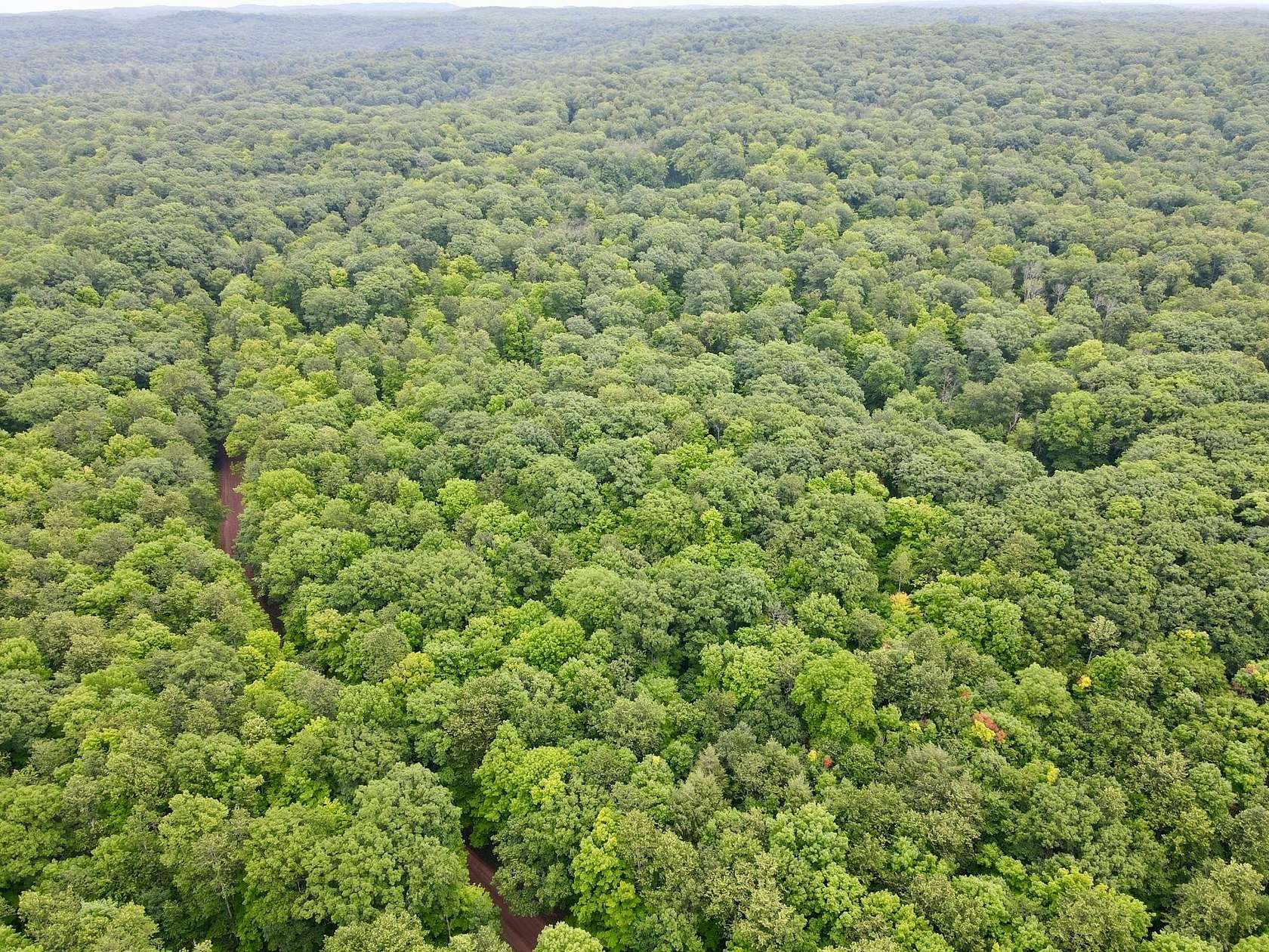 11 Acres of Recreational & Residential Land for Sale in Gleason, Wisconsin