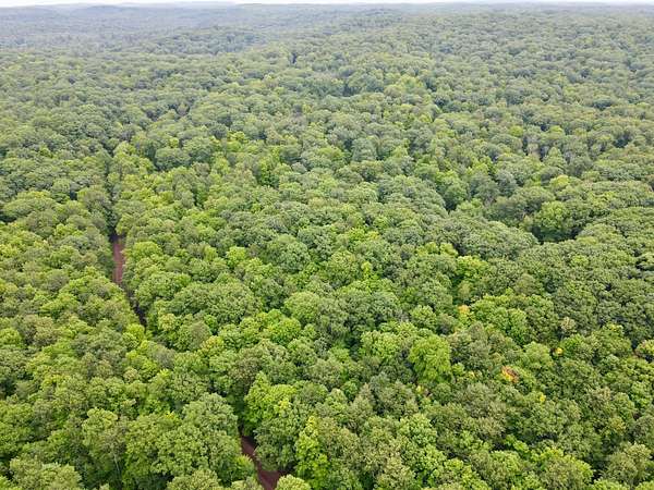 11 Acres of Recreational & Residential Land for Sale in Gleason, Wisconsin