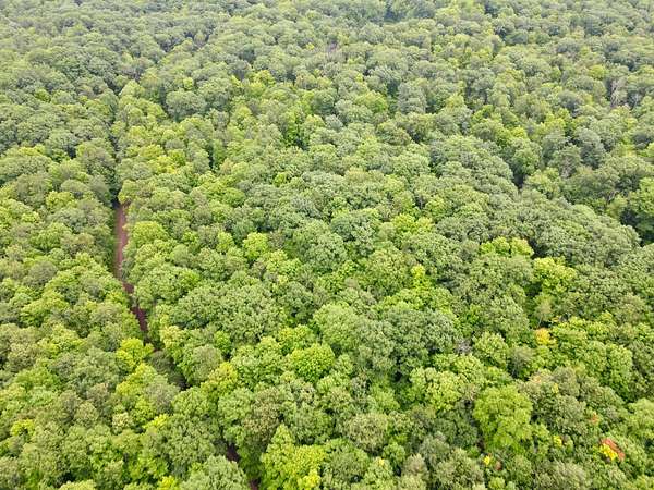 11 Acres of Recreational & Residential Land for Sale in Gleason, Wisconsin