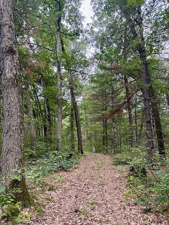 10.3 Acres of Recreational Land for Sale in Holton, Michigan