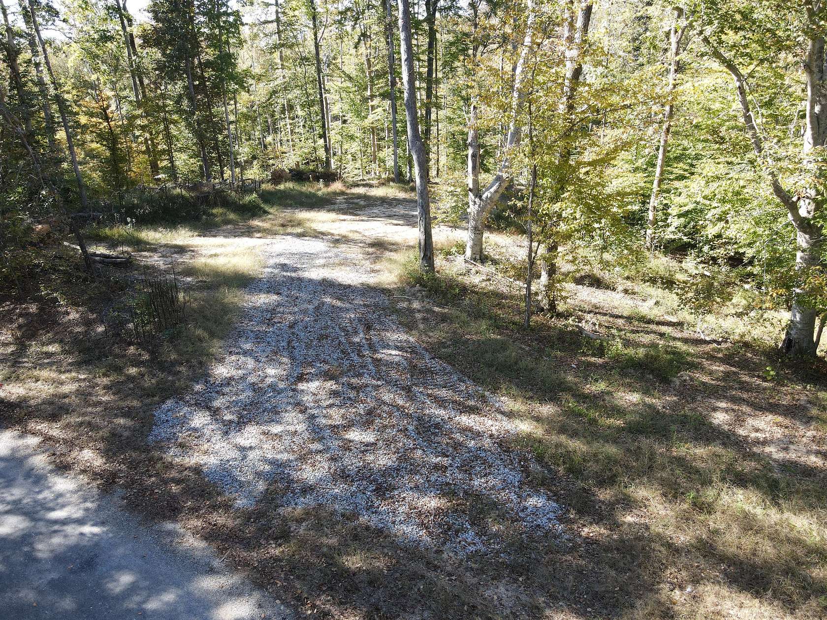 20 Acres of Recreational & Residential Land for Sale in Springville, Tennessee