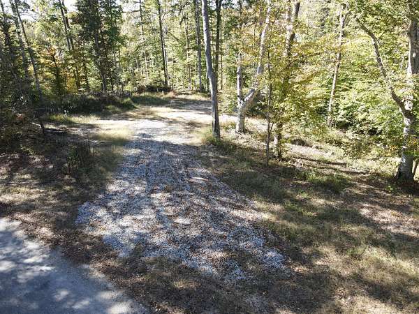 20 Acres of Recreational & Residential Land for Sale in Springville, Tennessee