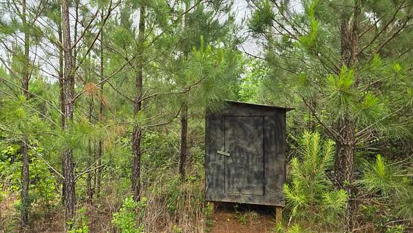 101 Acres of Land for Sale in Bay Springs, Mississippi
